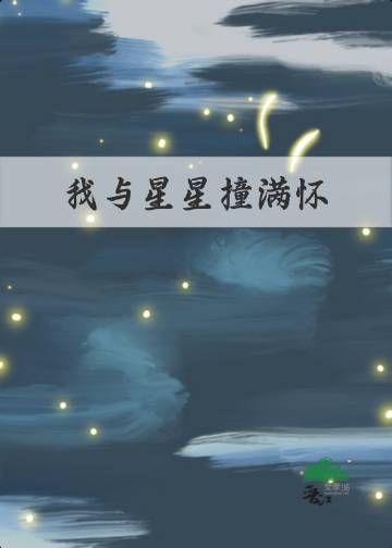 我与星星撞满怀